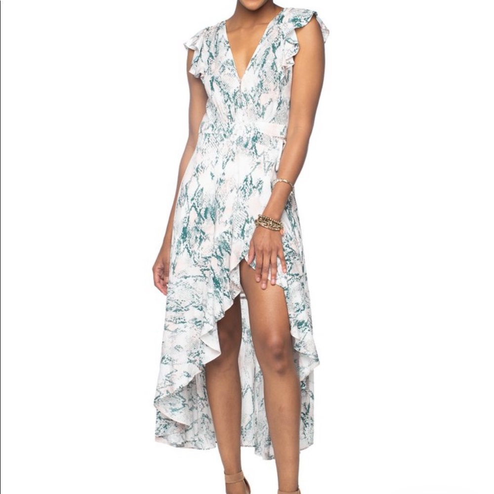 BuddyLove Snake print high/low dress